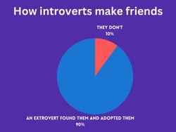 Pie chart of how introverts make friends