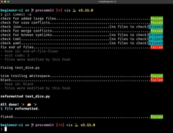 pre-commit command failing