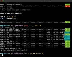 pre-commit command passing