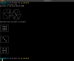 Dice roller program in action
