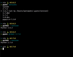 pyenv in action