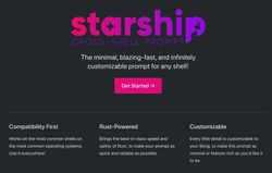 Starship website