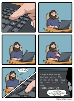 Comic stripe with a programmer pressing arrow up multiple times instead of typing 'ls'